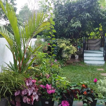 Jungle View One Bedroom Private Apartment 乌纳瓦图纳 外观 照片