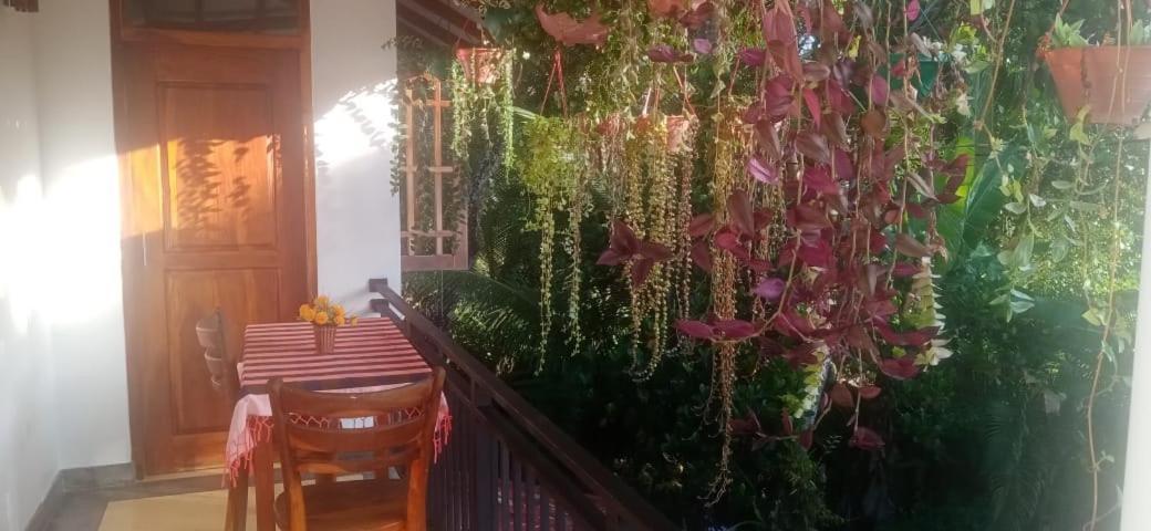 Jungle View One Bedroom Private Apartment 乌纳瓦图纳 外观 照片