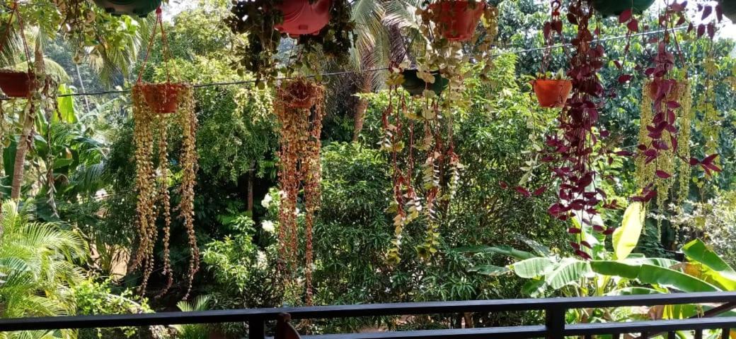 Jungle View One Bedroom Private Apartment 乌纳瓦图纳 外观 照片