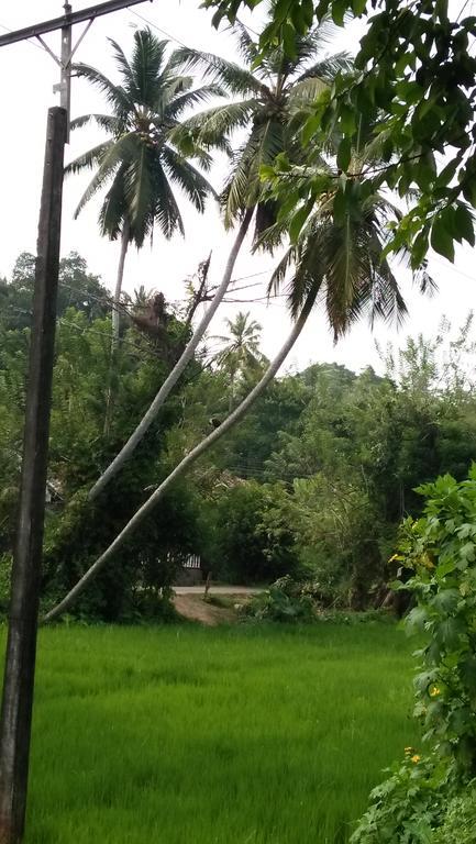 Jungle View One Bedroom Private Apartment 乌纳瓦图纳 外观 照片